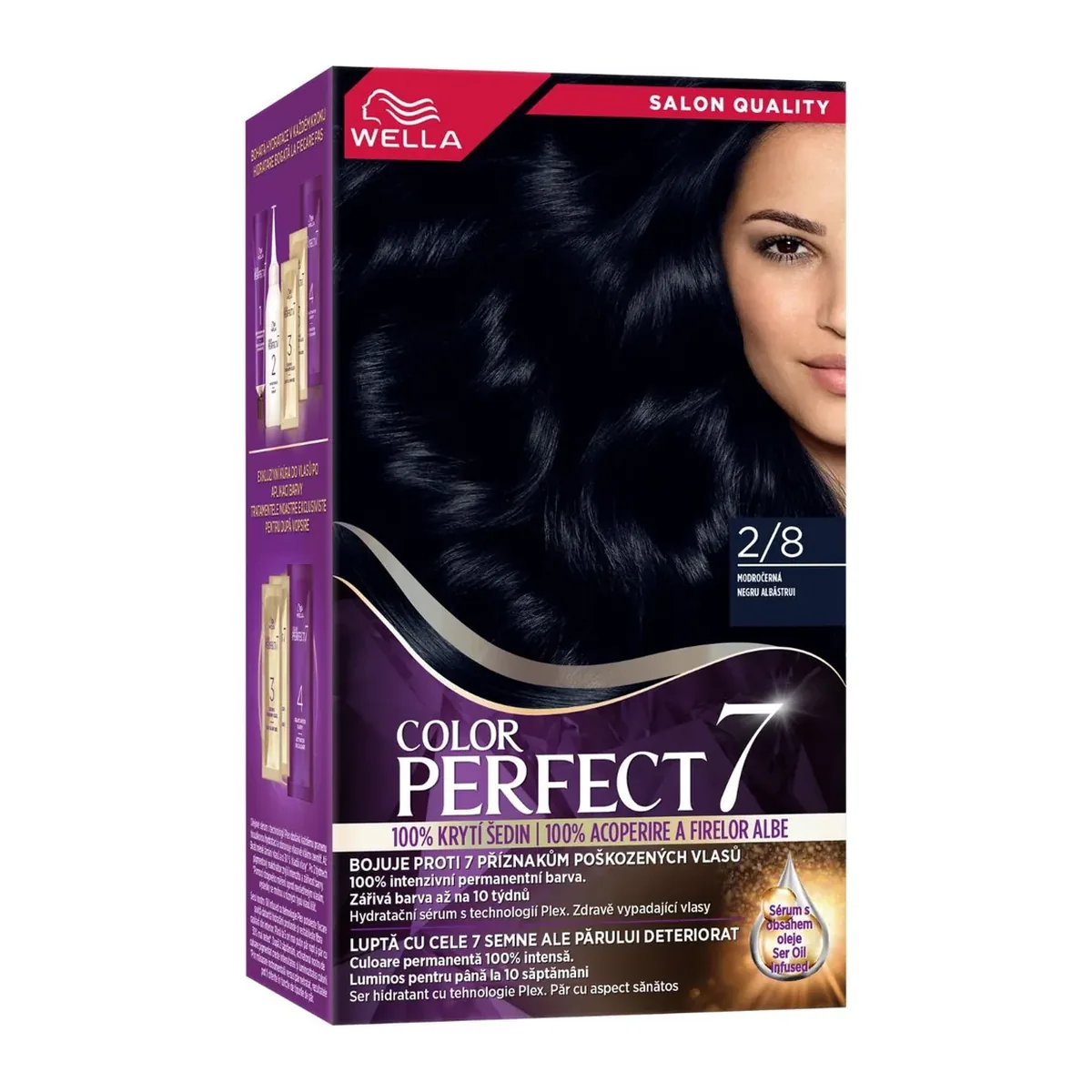 Vopsea de păr Palette Color Perfect 2 Negru Albăstrui